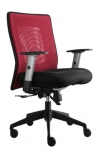 Kanc. židle LEXA nízká -česká firma Alba Výškově stavitelné područky, síťovaný sedák i opěrák, syncho. mechanika, nosnost 120 kg. Velice oblíbená . vystavená na prodejně s černé síťovině . 